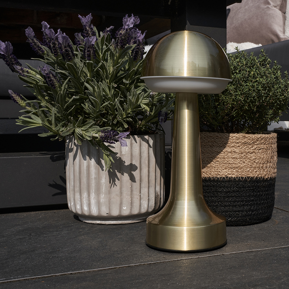 2 x Troy LED Rechargeable Indoor and Outdoor Touch Lamps in Brass