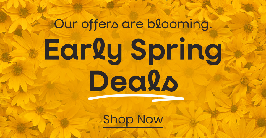 Our offers are blooming. Early Spring Deals